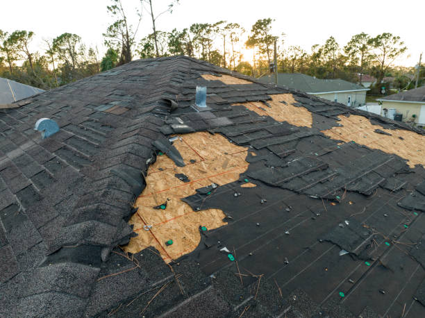 Best Roof Moss and Algae Removal  in Castle Point, MO
