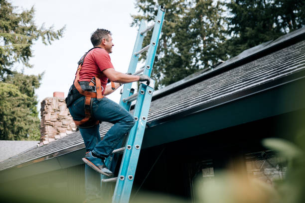 Best Asphalt Shingle Roofing  in Castle Point, MO